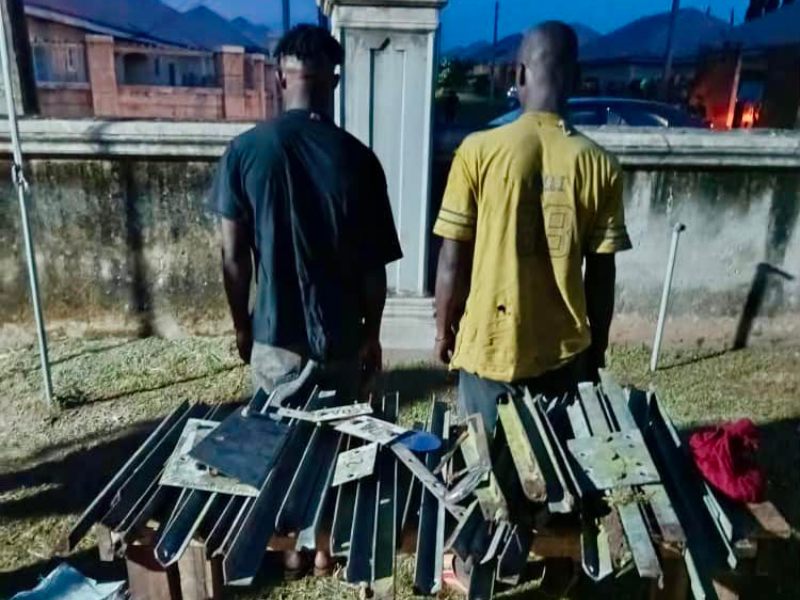 Property Thieves